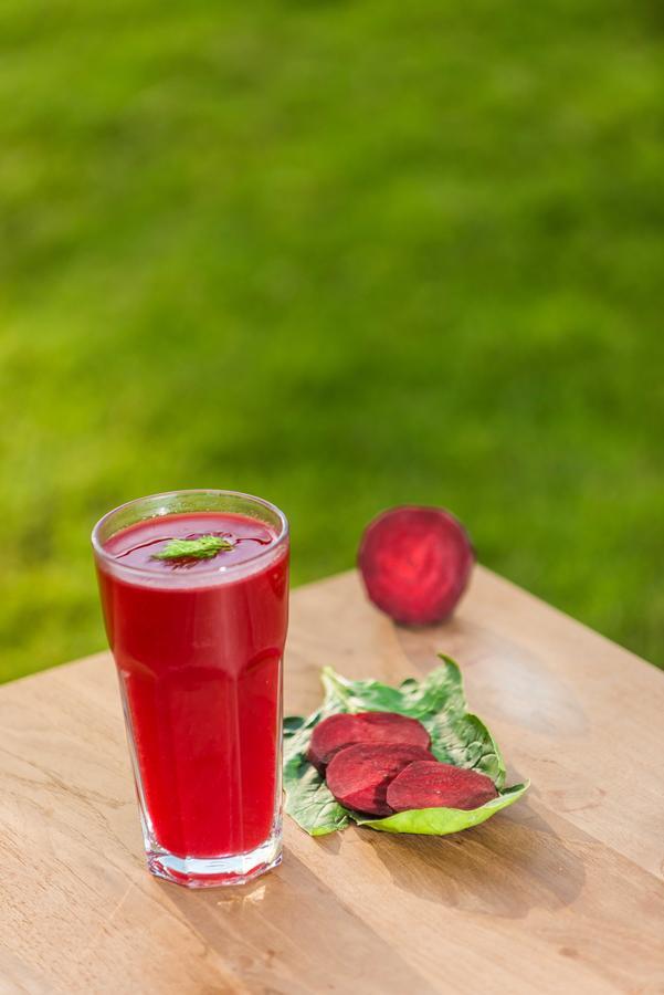 The Lifeco Antalya Well-Being Detox Center And Vegan Hotel Eksteriør billede