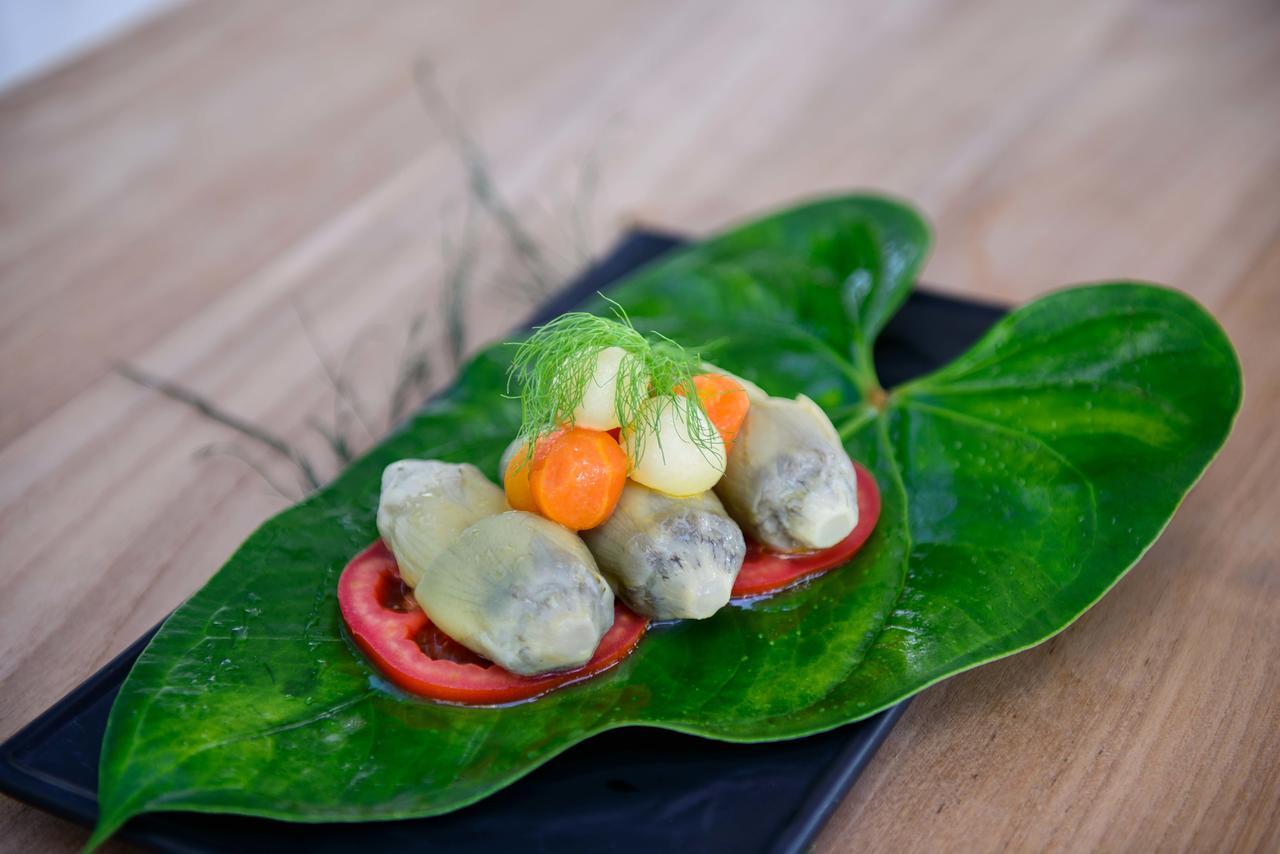 The Lifeco Antalya Well-Being Detox Center And Vegan Hotel Eksteriør billede