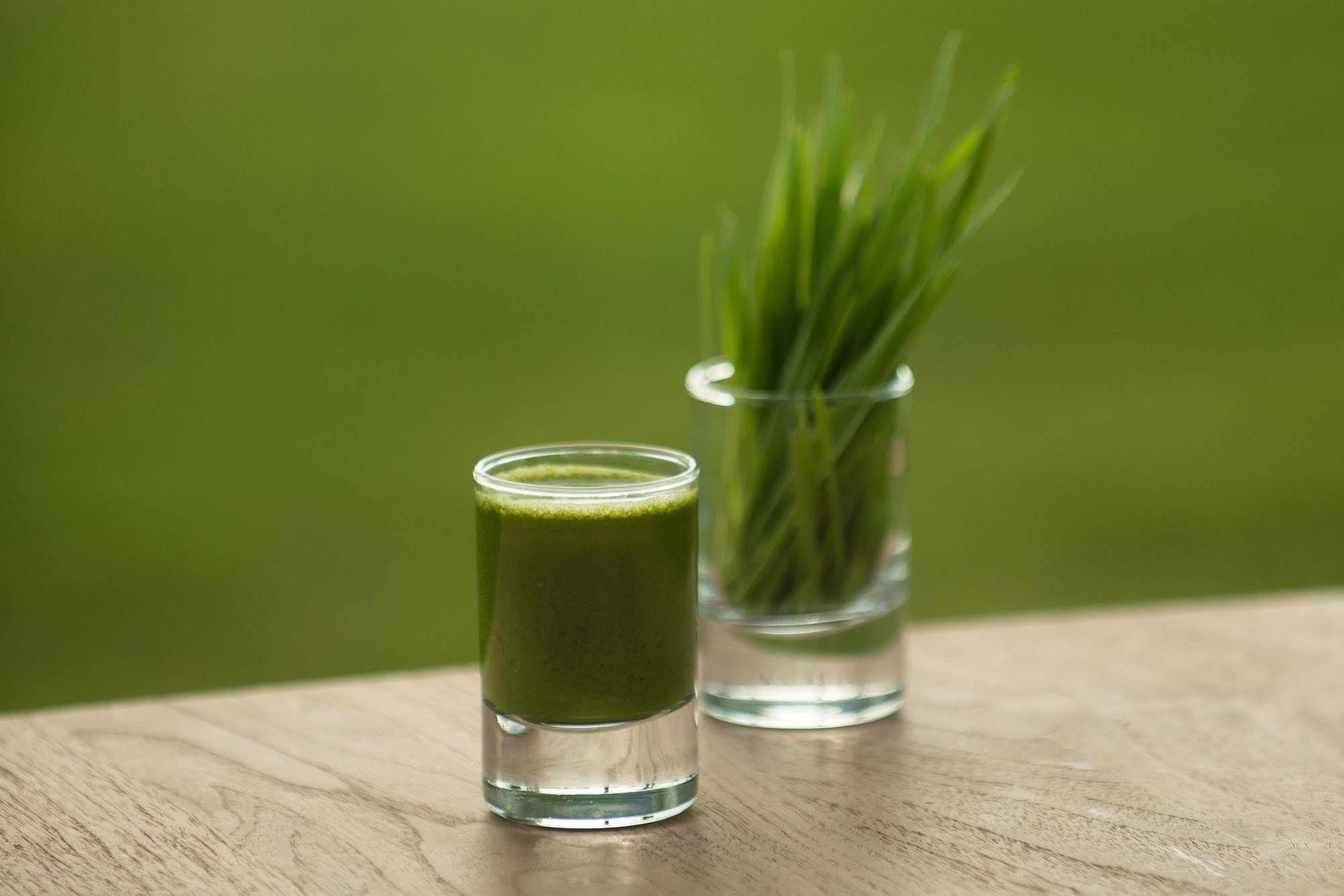 The Lifeco Antalya Well-Being Detox Center And Vegan Hotel Eksteriør billede